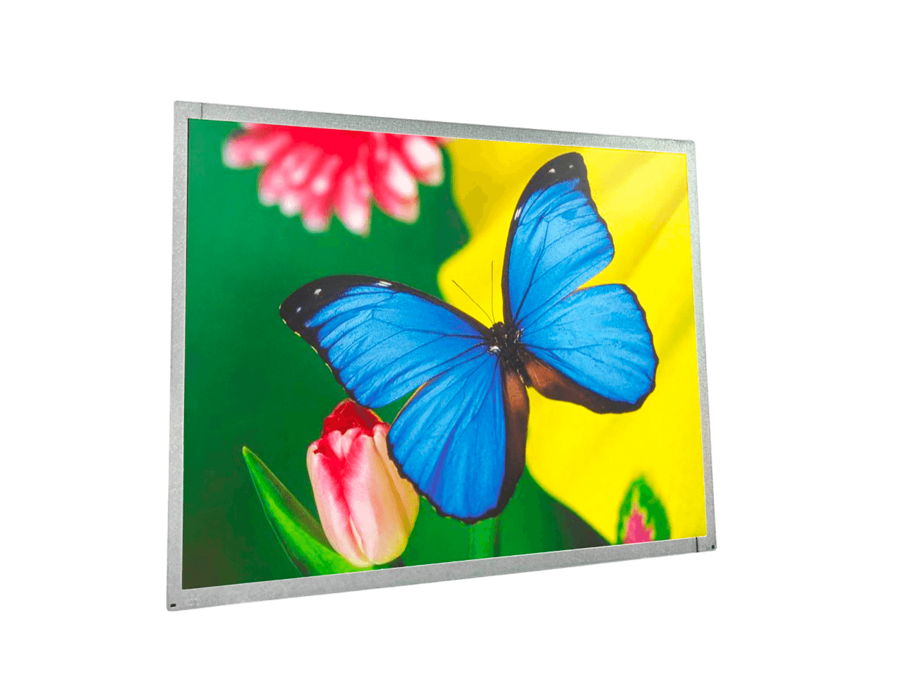 Auo M170ETN01.1 17'' Lcd Panel LVDS Cable (30*CM) 1280*1024 30 PİNS 8-BİT 250 CD/M²